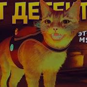 Кот Детектив