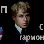 Сдп Сыпь Гармоника Минус
