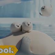 Sealook Baby Seal Singing