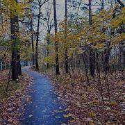 Кэто Джапаридзе Альбомы
