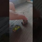 Никита Г Cars 3 This Is My Last Chance Cruz