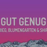 Gut Genug Shirin David