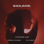 Charles Luis Bailame