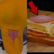 Donaldducc Sandwich Tiktok