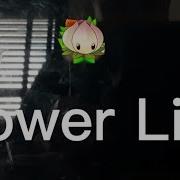A Song Of Power Lily