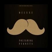 Deluxe Polishing Peanuts