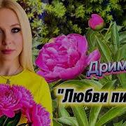 Любви Пионы Дримвейв