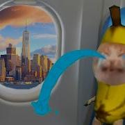 Cat Banana Happy Grows