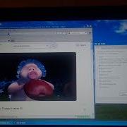 Маша И Медведь Has Bsod