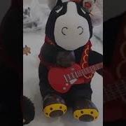 Мистер Владос Вороной Конь
