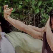 Jackie Chan Advantilires Final Battle