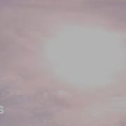 Bad Bunny Jhay Cortez Tarot