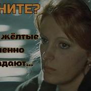 Листья Жёлтые Медленно Падают Moya Melodiya