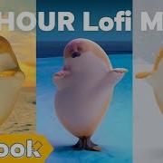 Lo Fi Seal