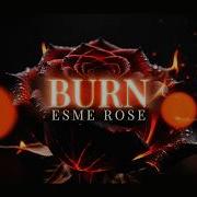 Burn Esme Rose