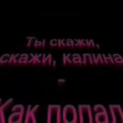Караоке При Долине Куст Калины
