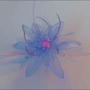 Kadosh The Underground