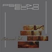 Pseudo Echo Destination Unknown 1993
