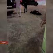 Новинка Женская Драка В Коммуналке Жесть