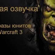 Фразы Из Warcraft 3