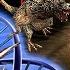 Project Altered Beast PS2 All Enemy Data