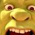Shrek Forever After 2010 One Day As An Ogre Again