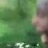 Ytpmv People