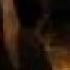 GREY DeLISLE IRON FLOWERS MAKING OF MOVIE PT 2