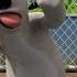 BERNARD BEAR 53 FOOTBALL Full Episode
