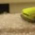 CARS 2 SHORT PART 4 Cars 2 Shorts Leading Into Season Finale