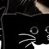 Variations Of Maxwell Cat