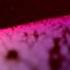 Del Rio Alpha Centauri AMBIENT SPACE MUSIC