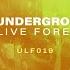 With You ULF019 Alex O Rion Remix