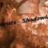 Shadowlands Terrorists Shadowlands Anthem Qlimax Remix