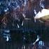 Godzilla 1998 We Re In His Mouth Scene 9 10 Movieclips