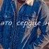 Mart Novelisky Молитвы Lyrics Video