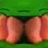 ZooPals In G Major 355 Reversed