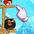 Which Bird Would You Choose