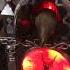 Cracker Barrel Halloween 2019 Tekky Toys Animated Raven Cuckoo Clock