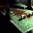 Saw 2 Flesh And Blood Xbox 360 Gameplay