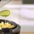 Tefal ActiFry Express XL AH9518 TV Commercial