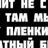Zivert Credo текст