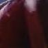 The Doctor Is Shot In Gang War Doctor Who The Movie