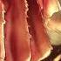 Attack On Titan 2 All Bosses