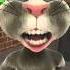 Talking Tom China Song