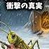 アリとキリギリスの衝撃の真実