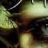 Evanescence Haunted Live