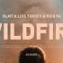 Wildfire