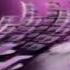 REUPLOAD Purina Logo With Gourmet Gold Ukraine Version In Feels Dizzy 2