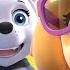 PAW Patrol Skye S Music Party MEGA Compilation 60 Minutes Nick Jr Music